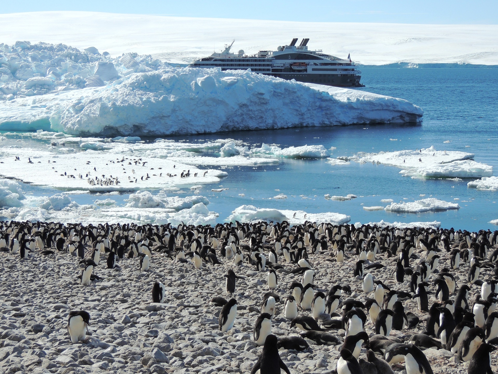 Поднимать пингвинов в антарктиде вакансии. Население Антарктиды. Tcnm KB gbyiudnys d fynfhrnblt.